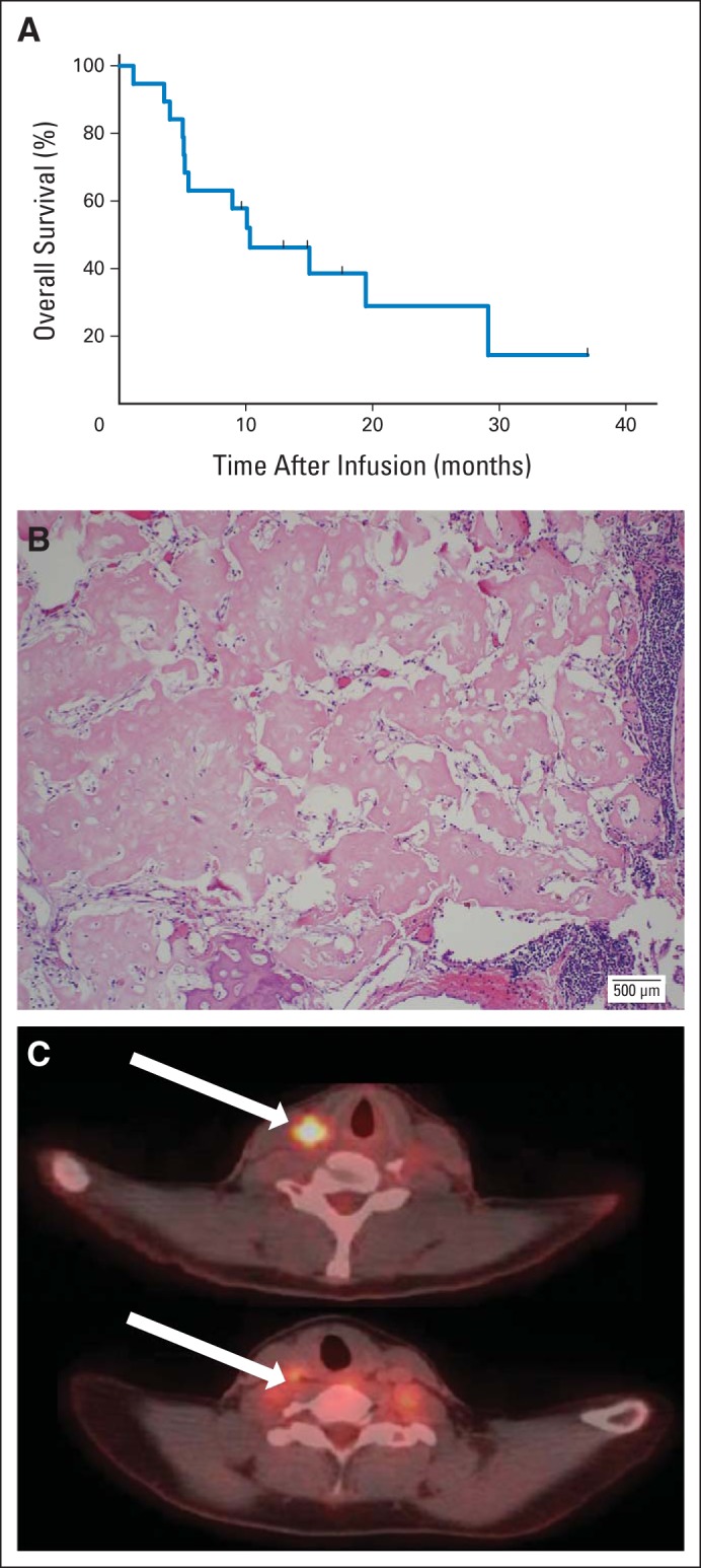 Fig 4.