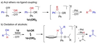 Scheme 8