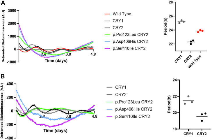 Figure 6