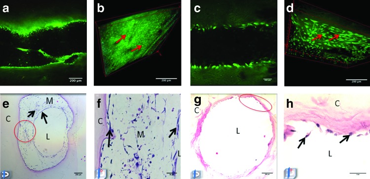 FIG. 2.