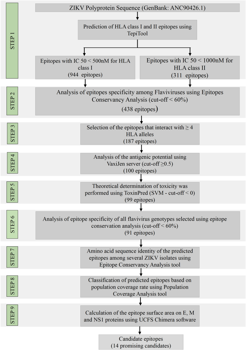 Fig. 1