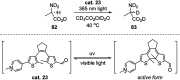 Scheme 26