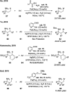 Scheme 21