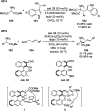 Scheme 30