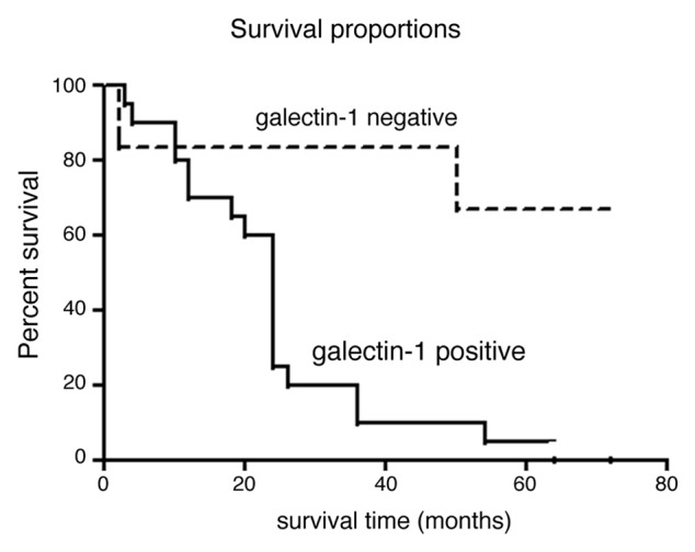 Figure 3. 