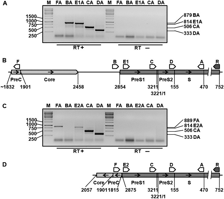 FIG 4