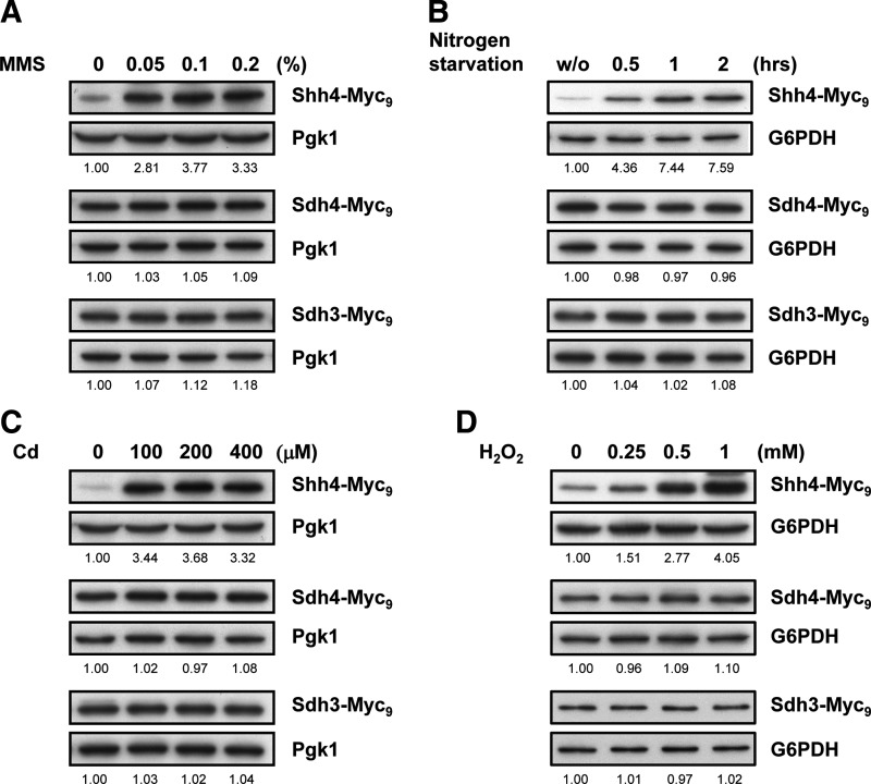 FIG. 3.