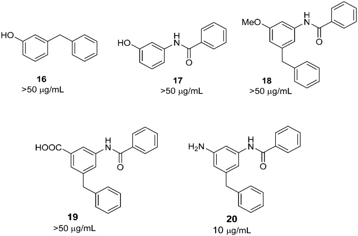 Scheme 4