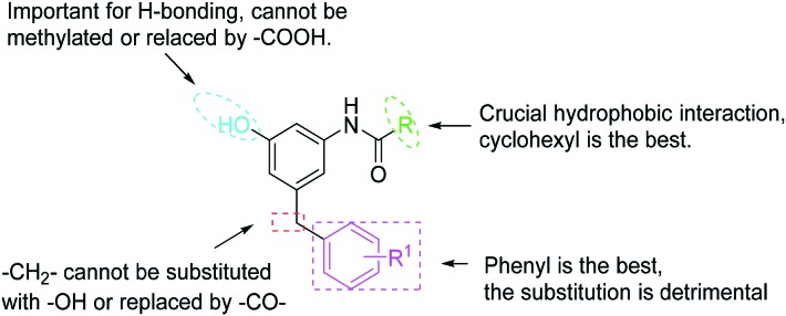 Scheme 5