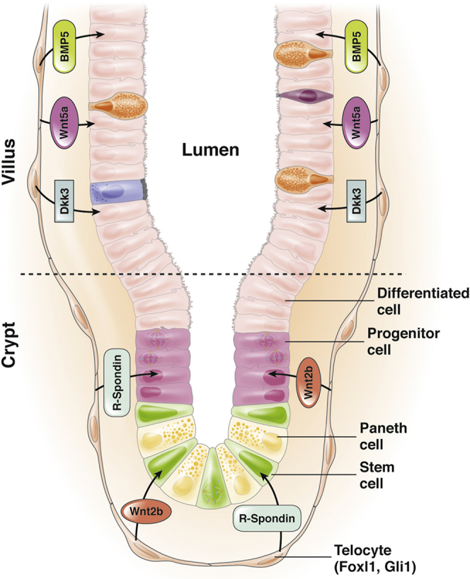 Figure 2