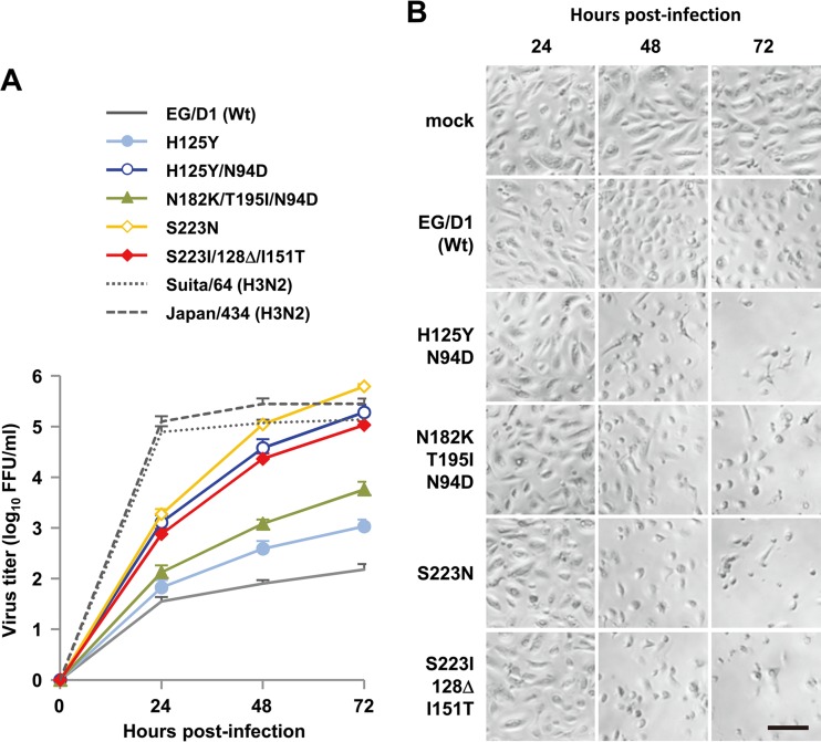 FIG 3 