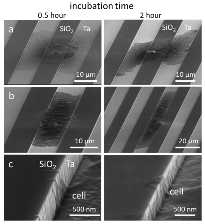 Figure 10