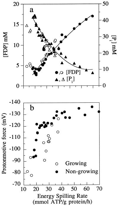 FIG. 7