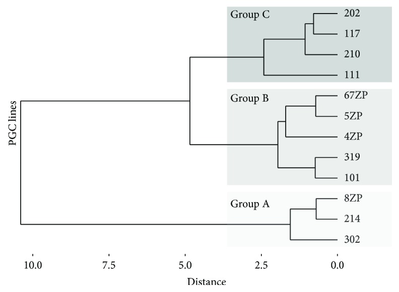 Figure 5