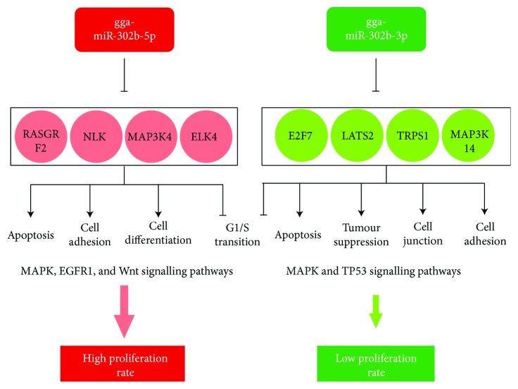 Figure 14