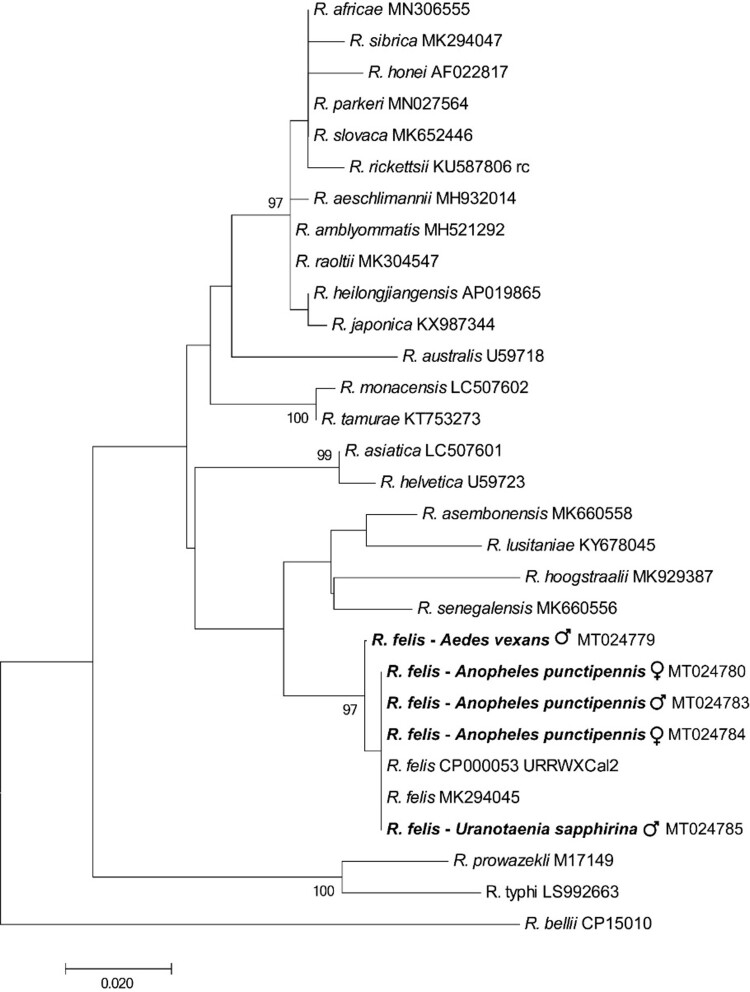 Figure 1.