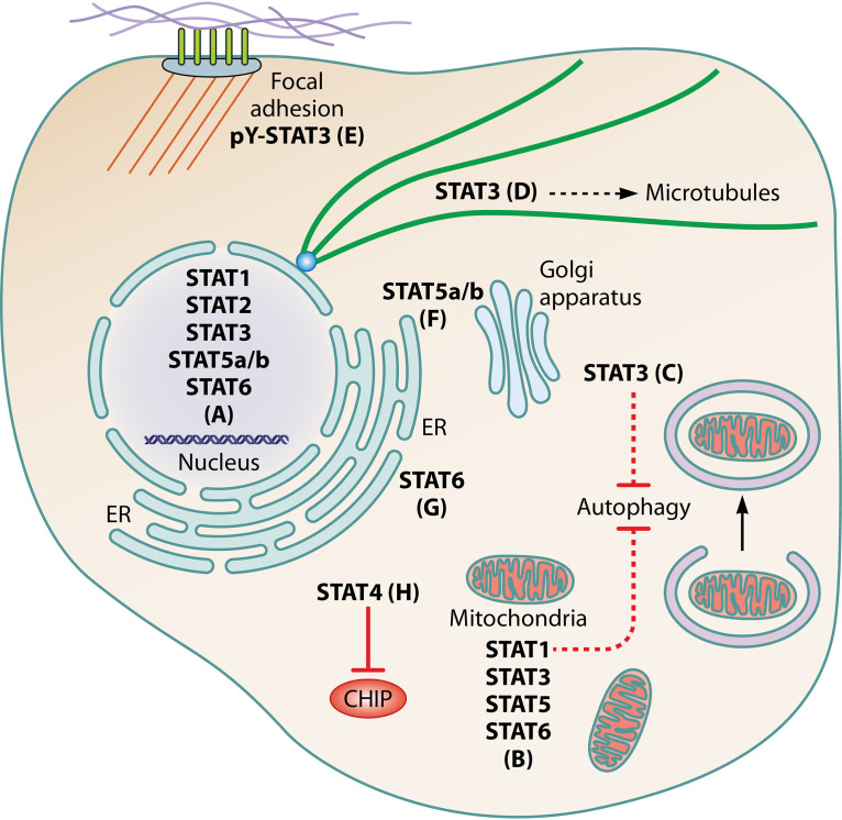 FIG 3