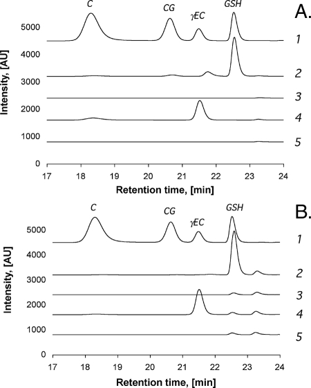 FIG. 1.