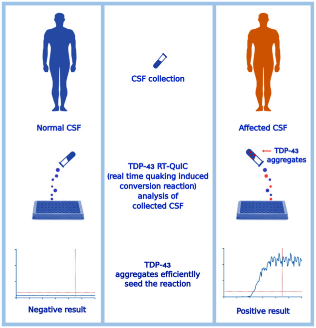 Graphical Abstract