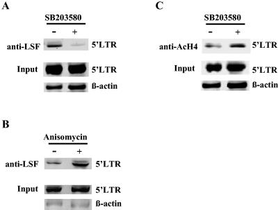 FIG. 7.