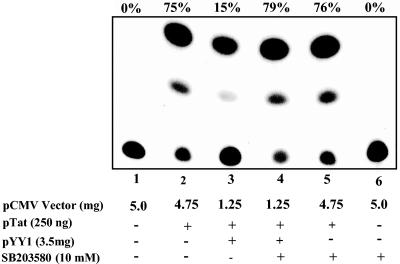 FIG. 8.