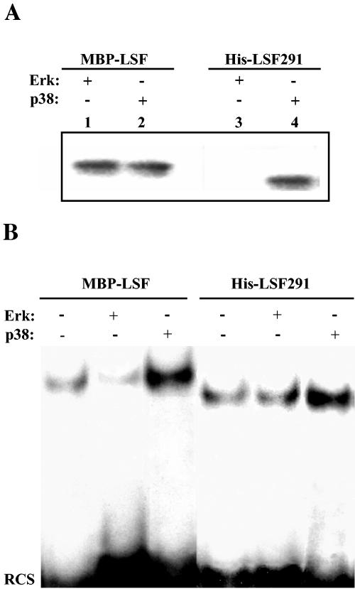 FIG. 5.