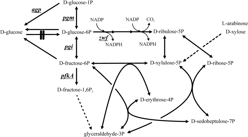 FIG 1