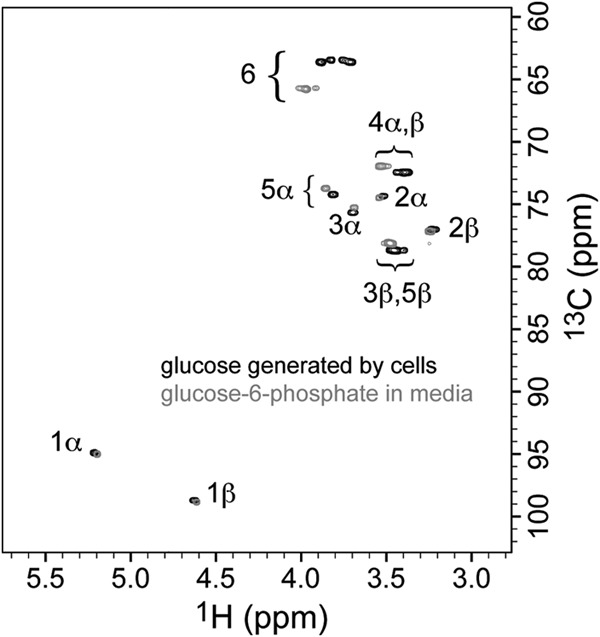 FIG 3