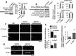 FIGURE 10.