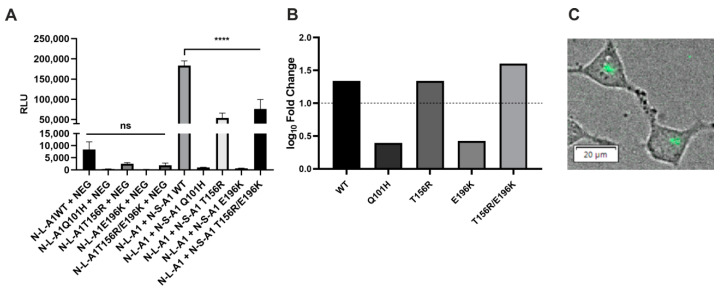 Figure 10