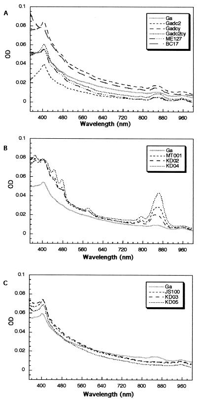 FIG. 6