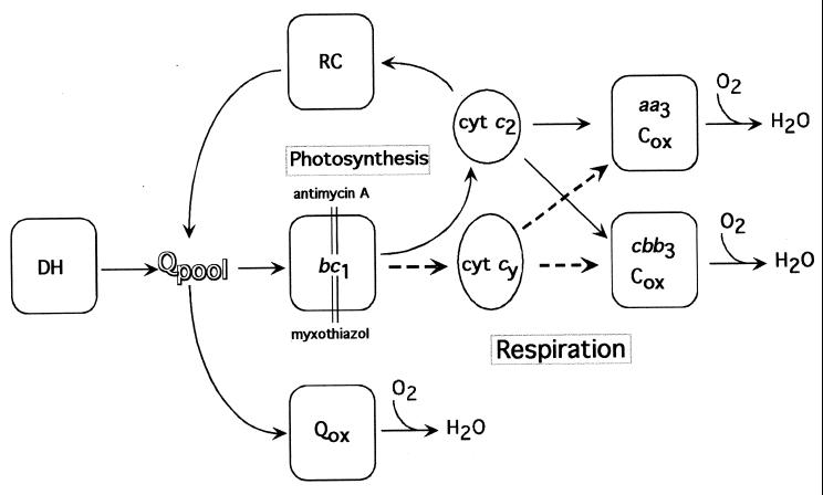 FIG. 1