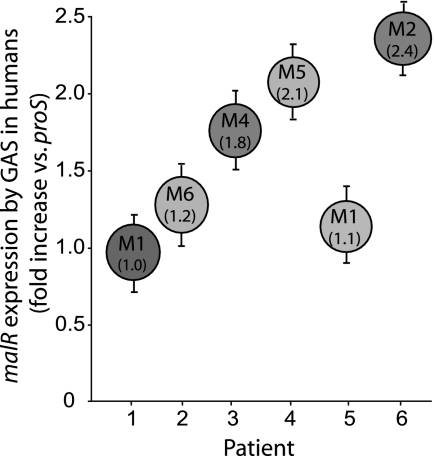 FIG. 8.