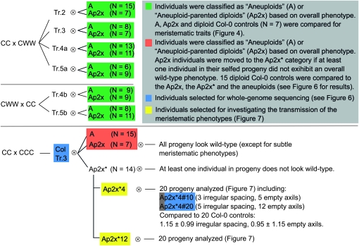 Figure 4.—