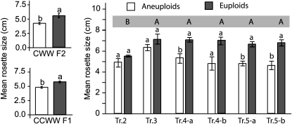 Figure 3.—