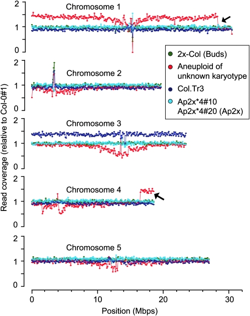 Figure 6.—