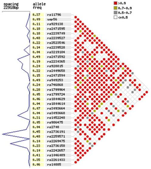 Fig. 2