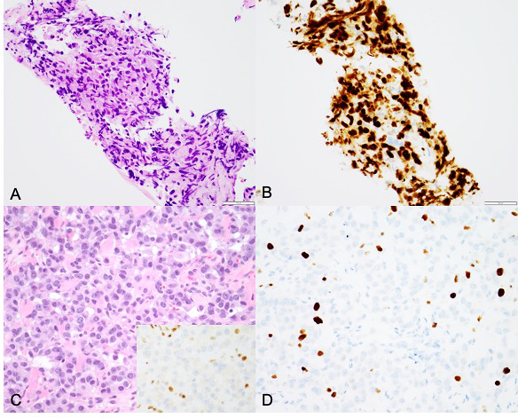 Figure 4: