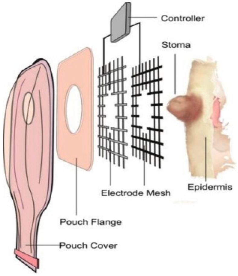 Figure 19