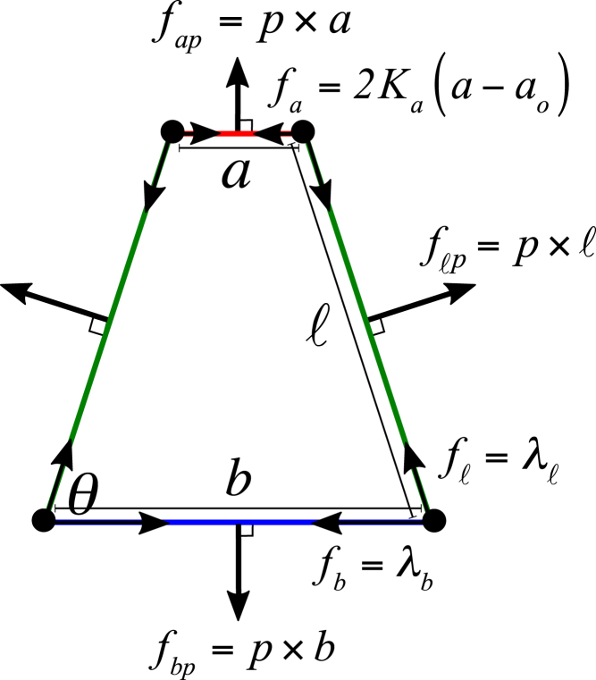 Figure 8