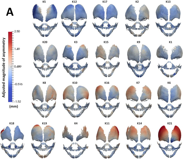 Fig 3.