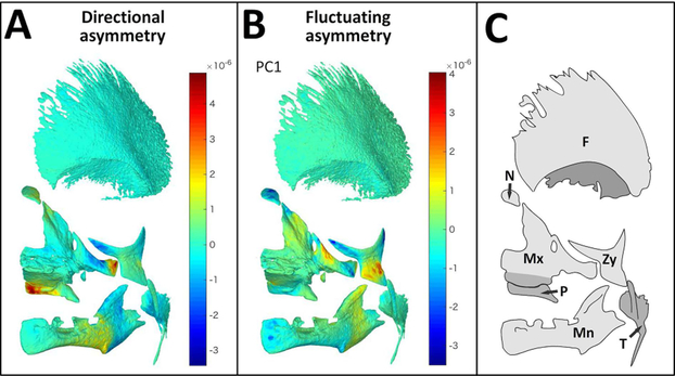 Fig. 2.