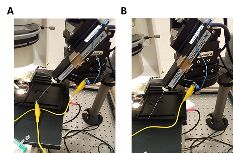 Figure 6.