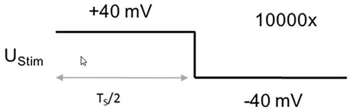 Figure 5.