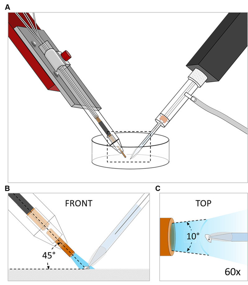 Figure 1.