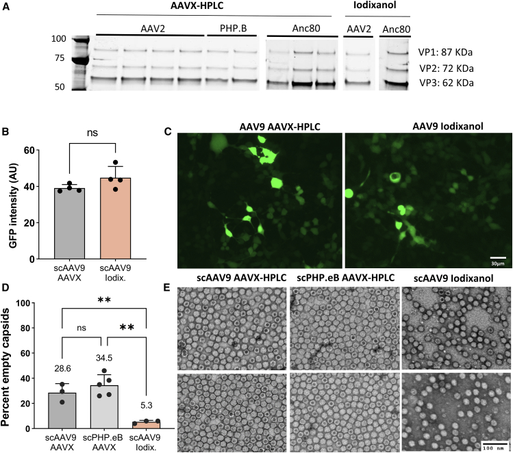 Figure 4