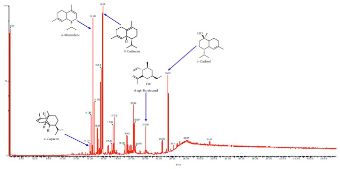 Figure 2