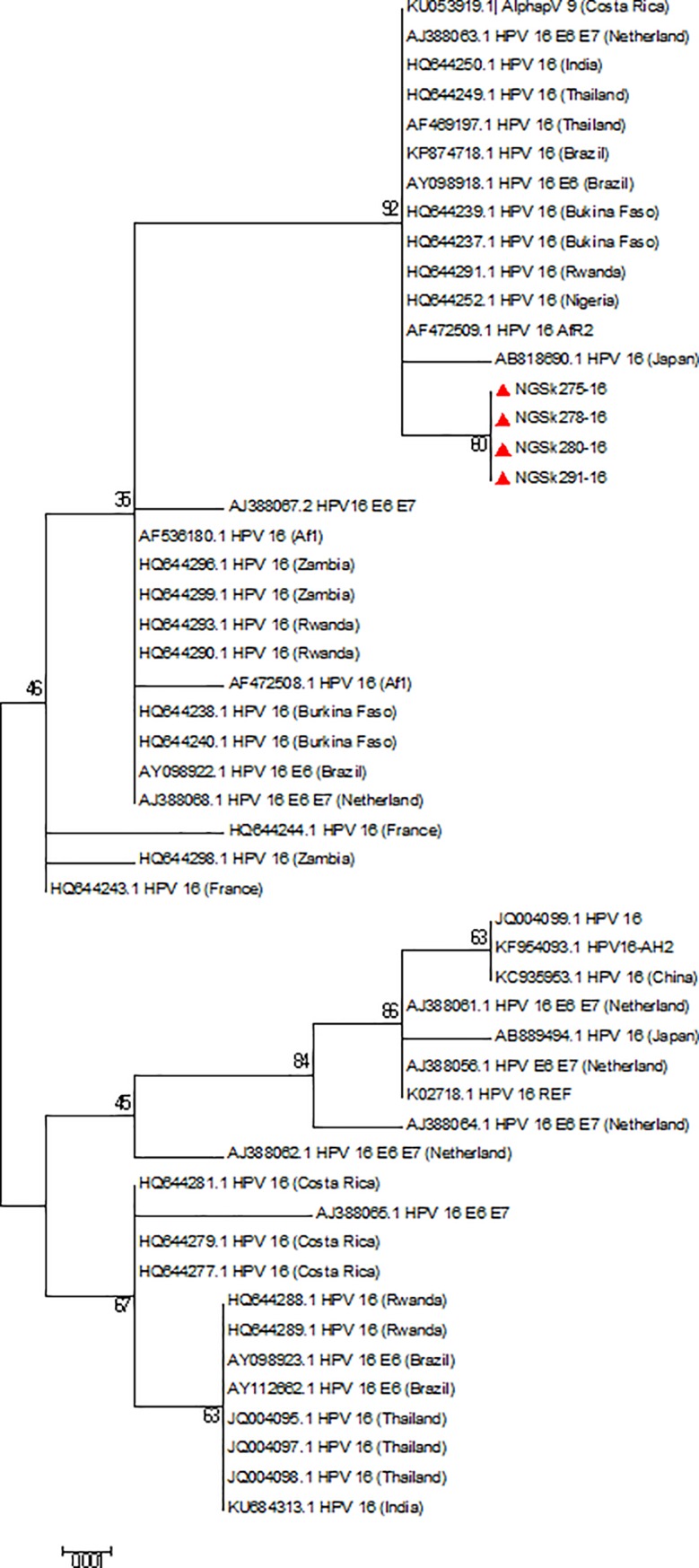 Fig 6