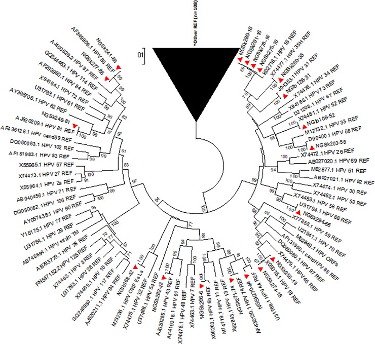 Fig 5