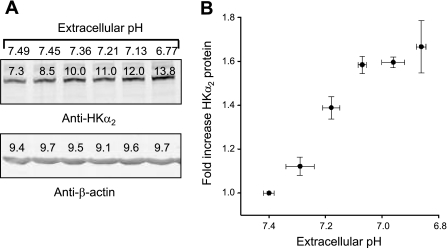 Fig. 7.